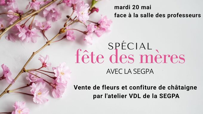 fêtes des mères.jpg