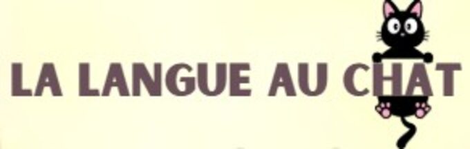 Capture d’écran 2026-02-04 162828.jpg